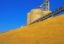 Госпродзеркорпорация намерена в разы увеличить экспорт зерна и муки