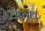 Агрохолдинг Kernel может продать активы в России