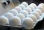 «Овостар Юнион» намерен увеличить производство яиц на 21% в 2016 году