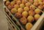 Заморозки убили половину будущего урожая персиков и абрикосов в Крыму