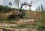 Депутаты Госдумы хотят разрешить использование леса для ведения сельского хозяйства