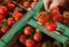 Абхазские производители помидоров несут убытки из-за разногласий с сочинской таможней