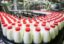 Россельхознадзор: молоко в России подделывают, подмешивая мел, борную кислоту и гипс