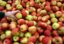 Почти четыре тонны польских яблок, запрещенных к ввозу в РФ, уничтожили во Владивостоке