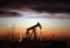 ОПЕК ожидает, что цены на нефть в мире в 2017 году будут составлять около $50 за баррель