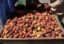 Россельхознадзор задержал 90,8 тонн зараженных персиков из Турции