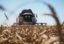 Урожай зерновых в южных регионах России выше, чем 2016 году, несмотря на непогоду