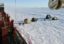 «Известия»: Россия планирует направить в Арктику до восьми новых ледоколов