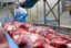 ЕС запросил в ВТО консультации с Россией по спору о поставках свинины