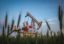 Bloomberg: РФ предложит ОПЕК вернуться к уровням добычи нефти конца 2016 года